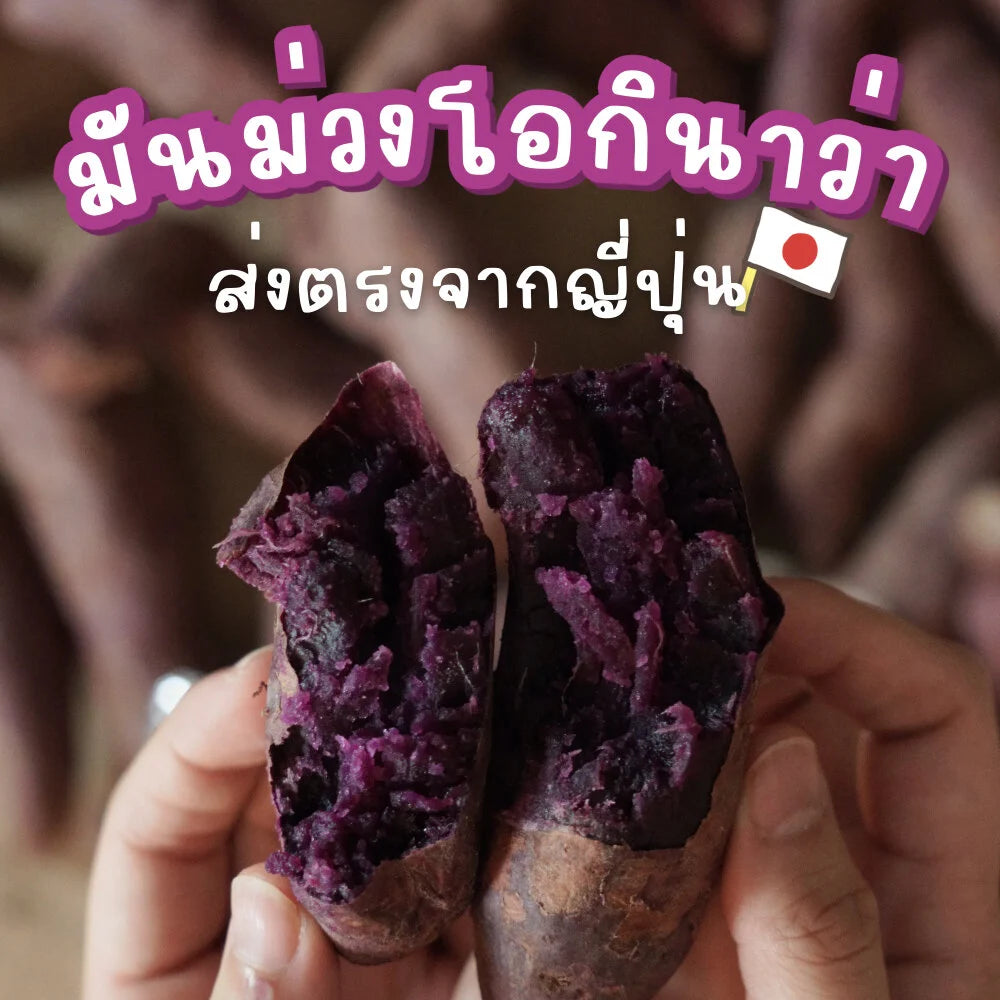 Alin Puree : “Purple Potato Mania“