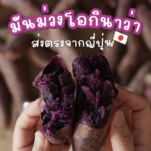 Alin เพียวเร่ : “Purple Potato Mania“