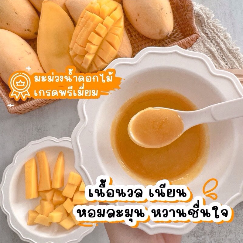 Alin Puree: “Mango Puree”