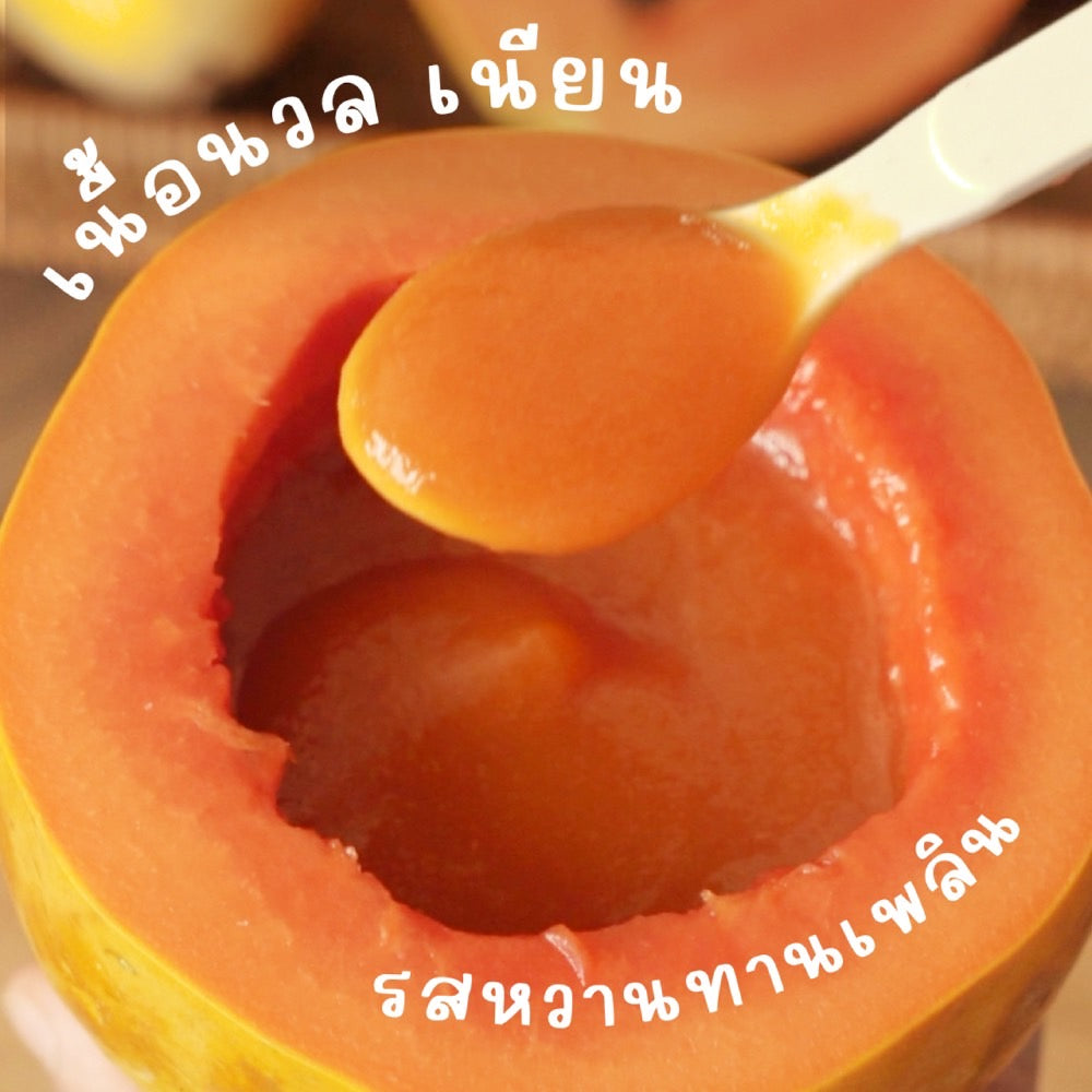 Alin เพียวเร่ : "มะละกอมะม่วง" (Papaya Mango)